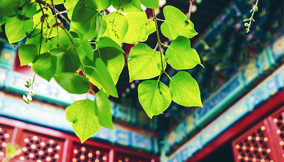 北京去年全面完成环保年度目标