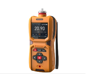 MS600便携式气体检测仪
